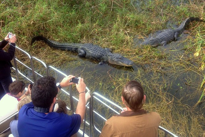 Florida Everglades Airboat Tour and Wild Florida Admission with Optional Lunch