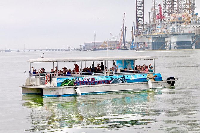 Dolphin Sightseeing Tour with Guide