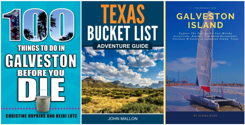 Galveston Essential Traveler Guide Books